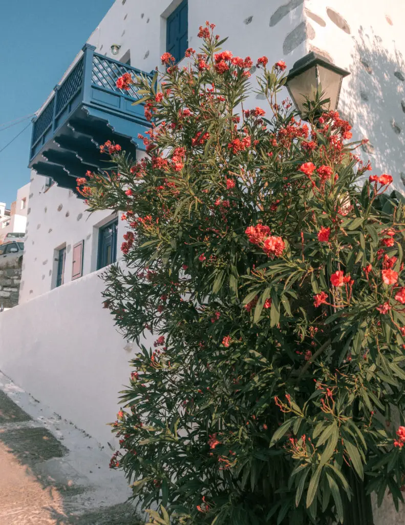 Where to stay on Astypalaia